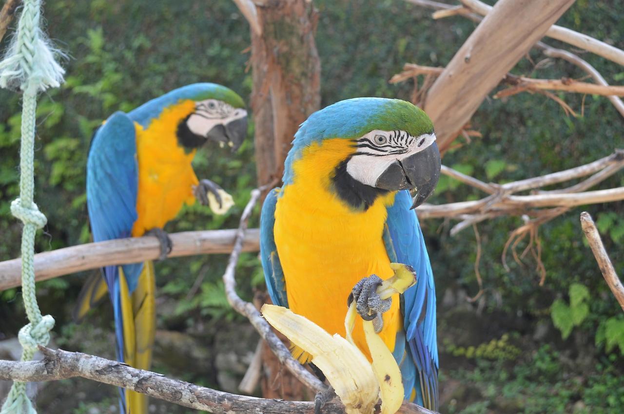 Pousada Tere Parque เตเรซอโปลิส ภายนอก รูปภาพ